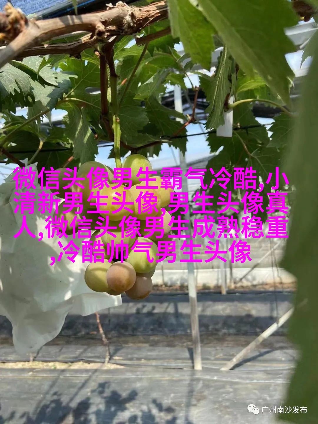 男生头像动漫古风图片(精选18张)