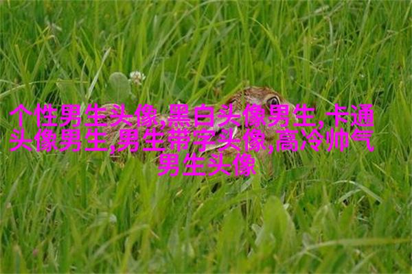 让男生一眼就心动的头像(优选18张)
