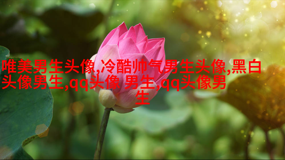 男生手机姿势头像大全图片(20张)