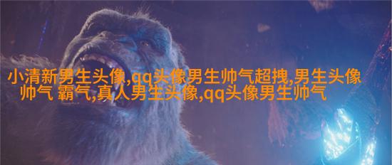 2023年最帅气的男生头像(共20张)