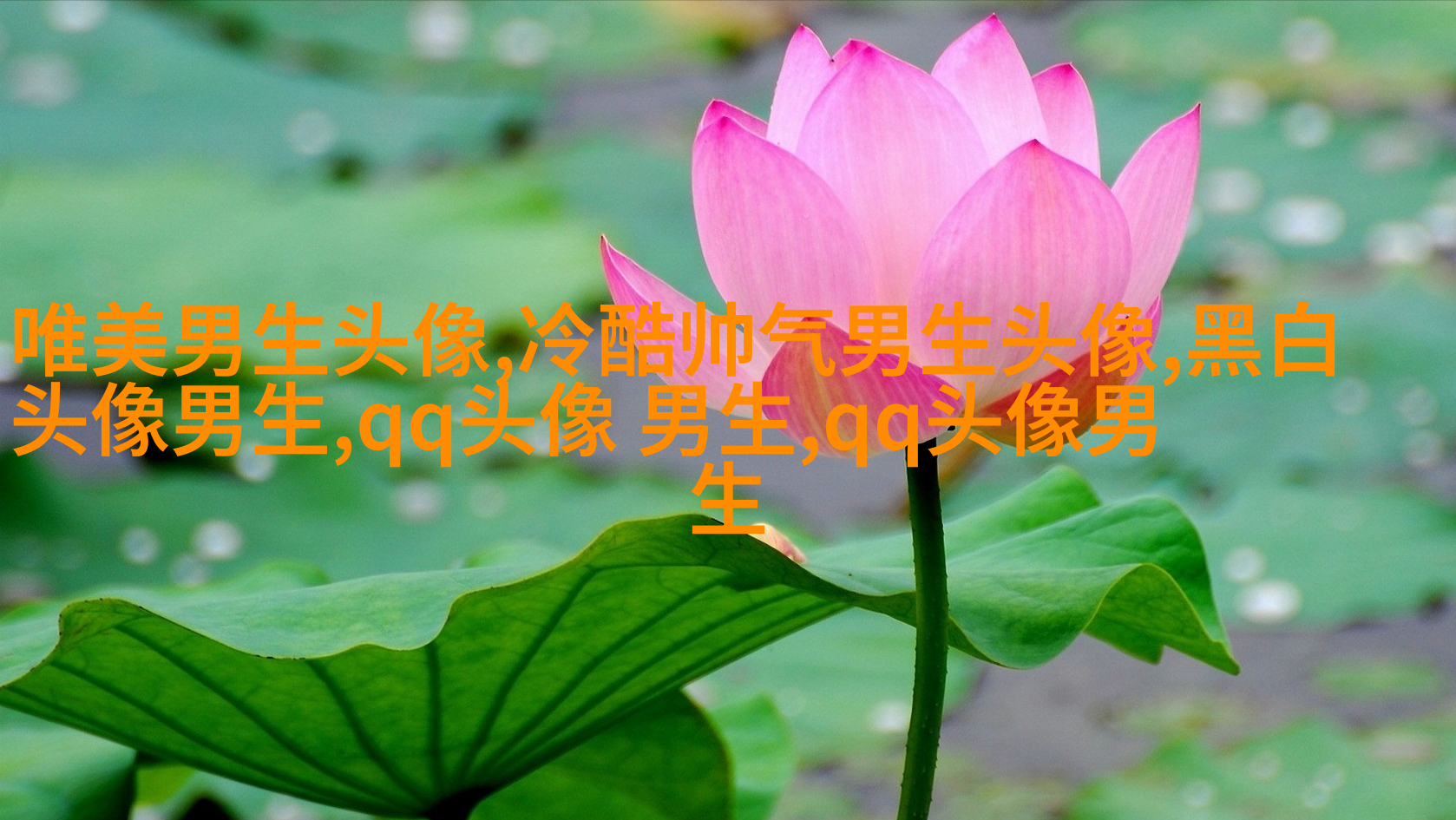 男生手机姿势头像大全图片(20张)