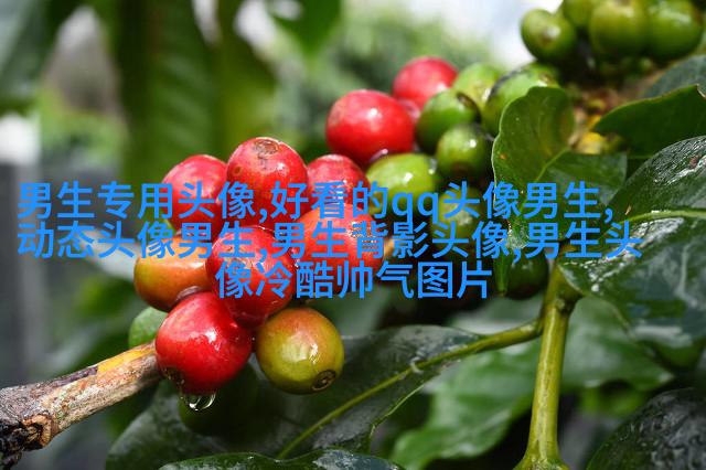 黑白伤感的男生头像(优选20张)