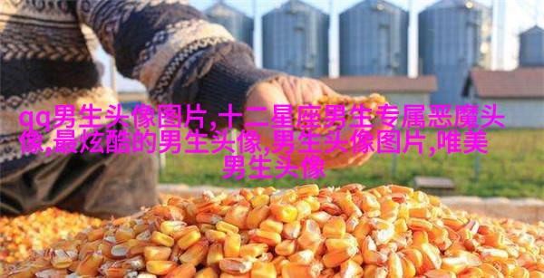超酷高冷的男生头像(优选18张)