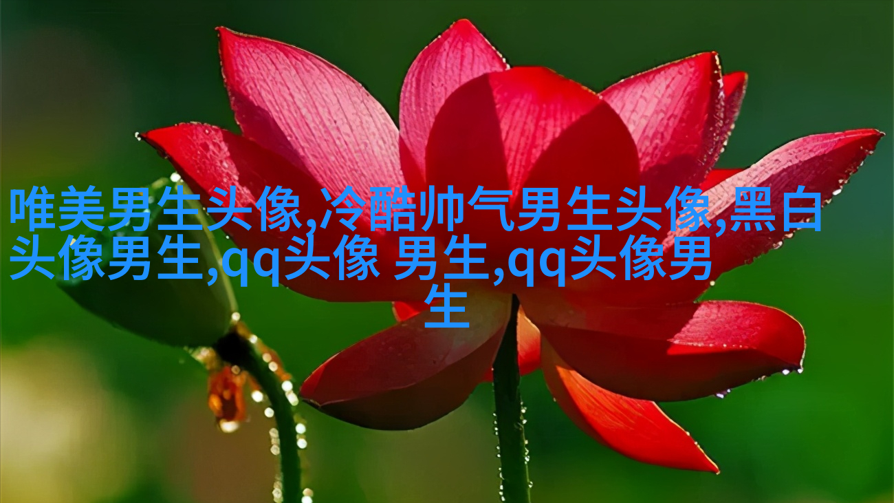 男生手机姿势头像大全图片(20张)