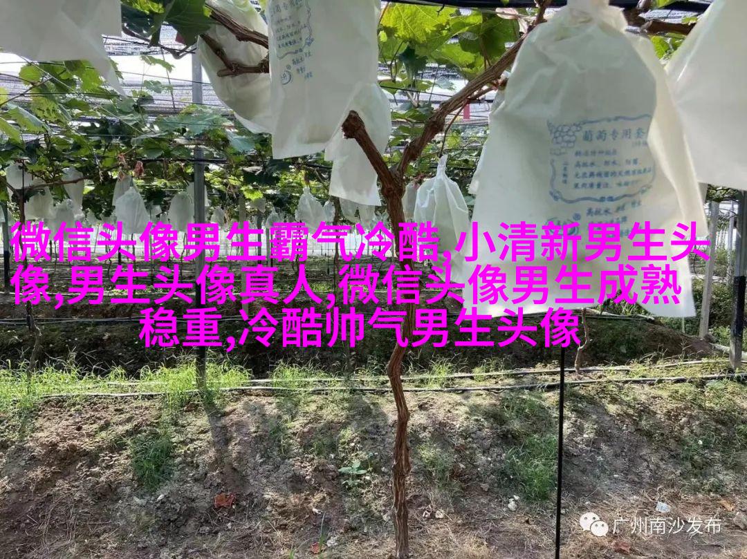 男生头像动漫古风图片(精选18张)