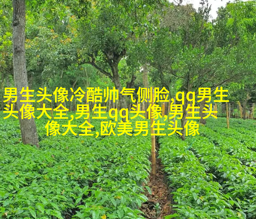 适合男生用的姓氏头像图片大全(优选16张)