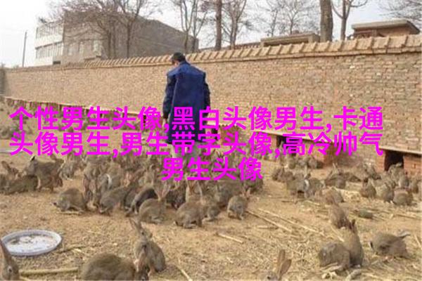让男生一眼就心动的头像(优选18张)