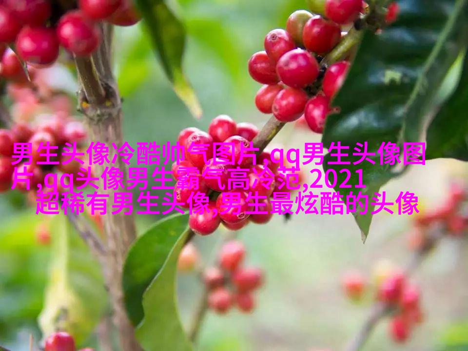 酷到没边际的男生魅力头像合集图片(优选18张)